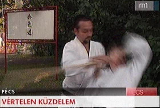 Nanzan Aikido on tv