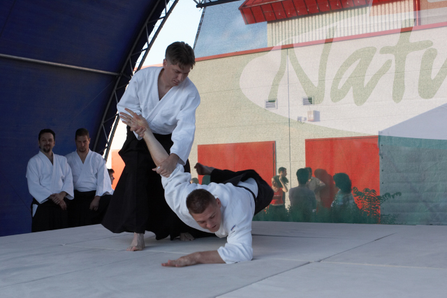 Nanzan Aikido Pcs