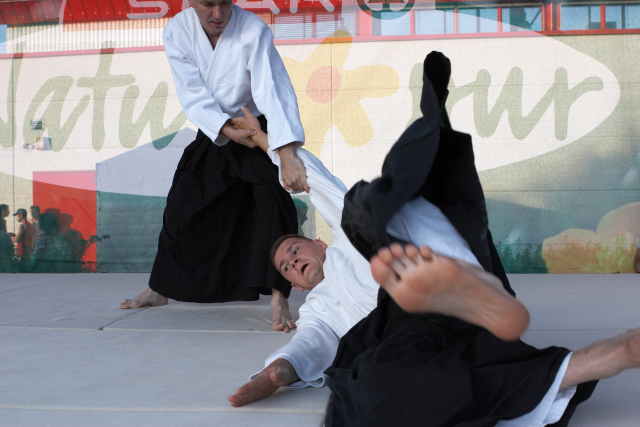 Nanzan Aikido Pcs