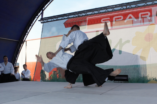 Nanzan Aikido Pcs