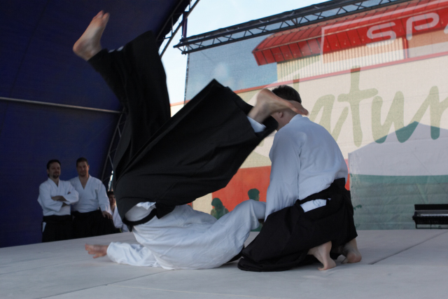 Nanzan Aikido Pcs