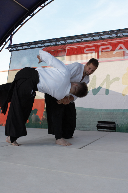 Nanzan Aikido Pcs