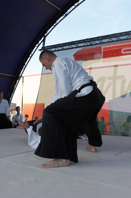 Nanzan Aikido Pcs