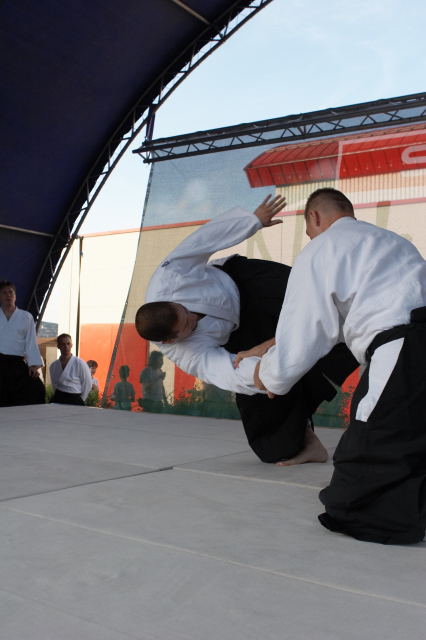 Nanzan Aikido Pcs