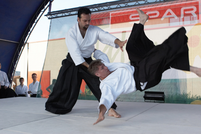 Nanzan Aikido Pcs
