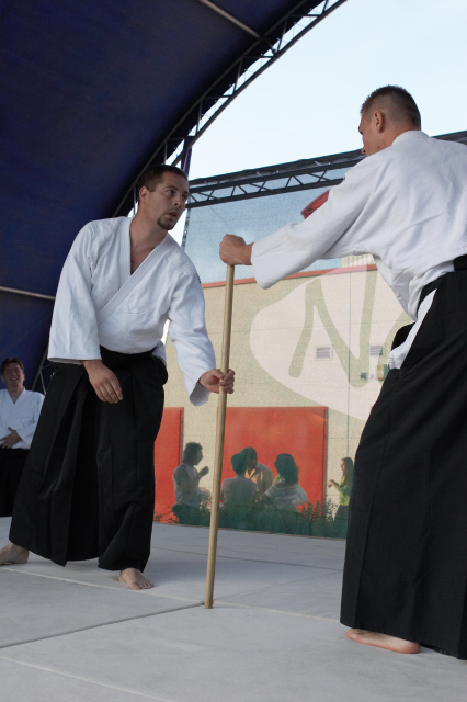 Nanzan Aikido Pcs