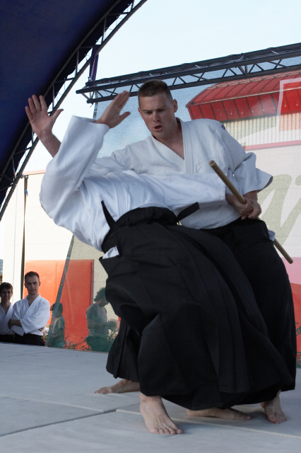 Nanzan Aikido Pcs