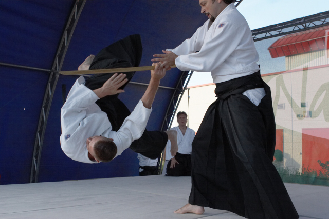 Nanzan Aikido Pcs