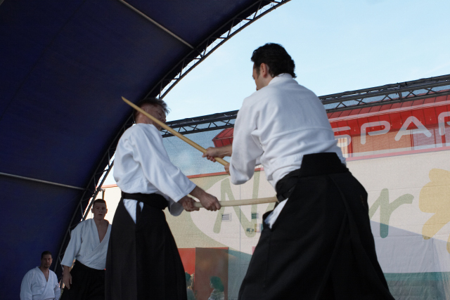 Nanzan Aikido Pcs