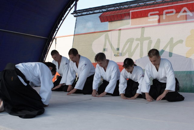 Nanzan Aikido Pcs