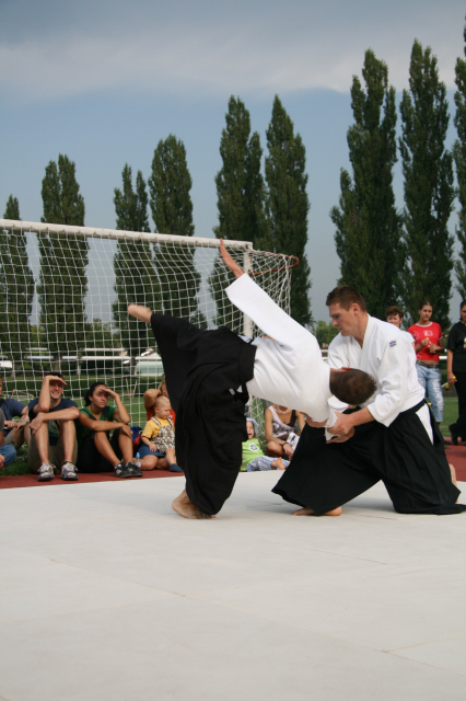 Nanzan Aikido Pcs