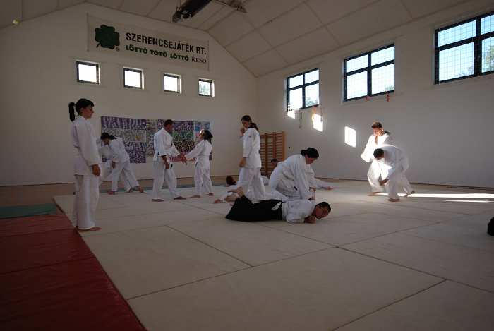 Nanzan Aikido P�cs