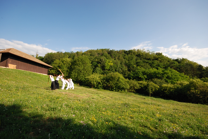 Nanzan Aikido P�cs