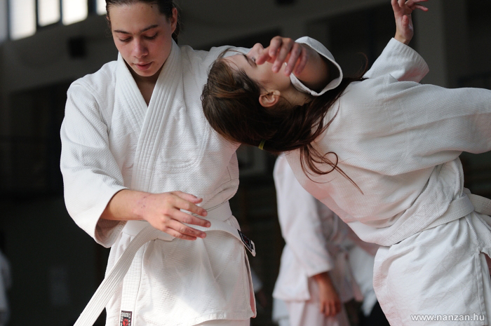 aikido P�cs
