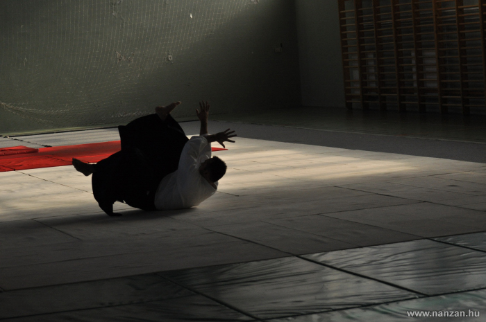 aikido P�cs