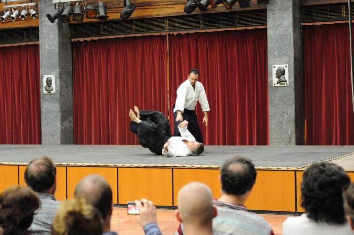 aikido Pcs