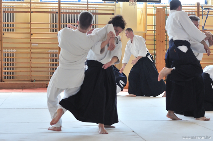 aikido Pcs Martin