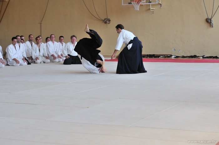 aikido Pcs Martin