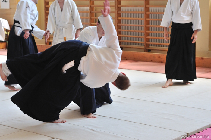 aikido Pcs Martin