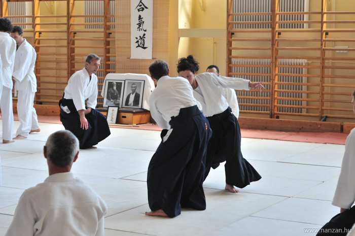 aikido Pcs Martin