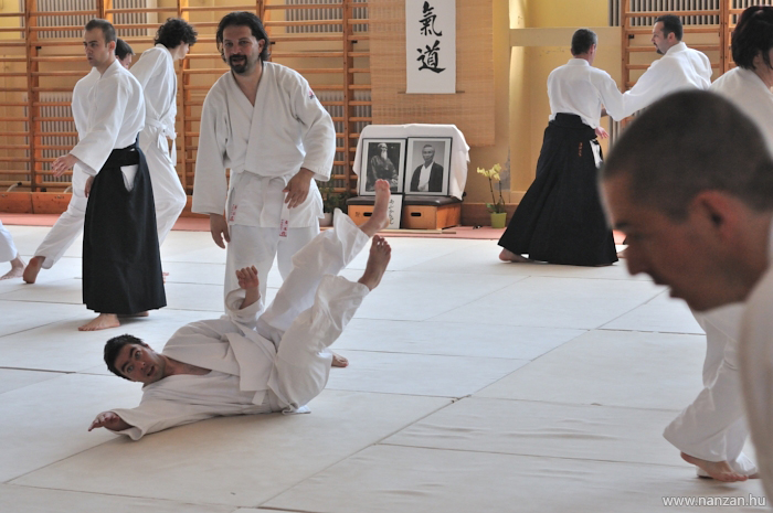 aikido Pcs Martin