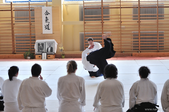 aikido Pcs Martin