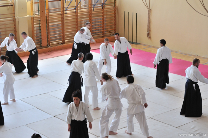 aikido Pcs Martin