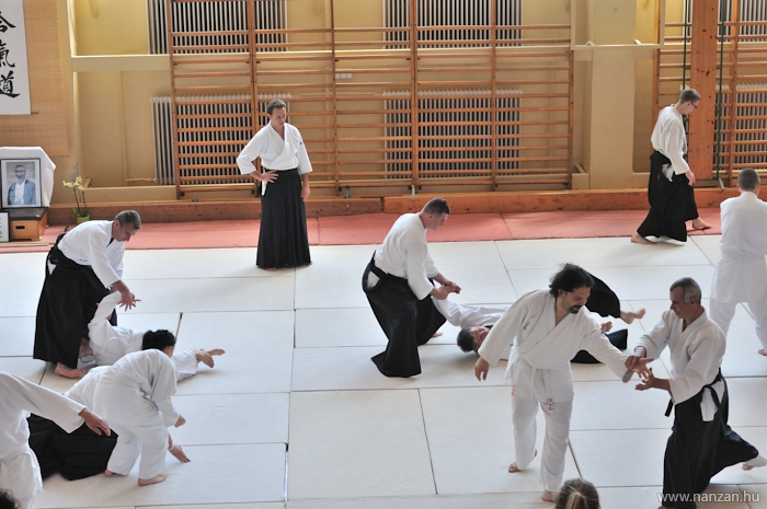 aikido Pcs Martin