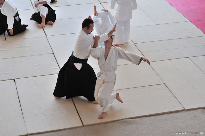 aikido Pcs Martin