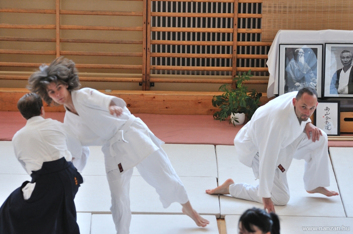 aikido Pcs Martin