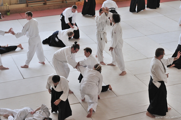 aikido Pcs Martin