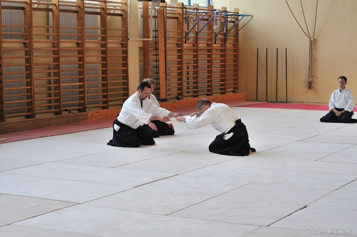 aikido Pcs Martin