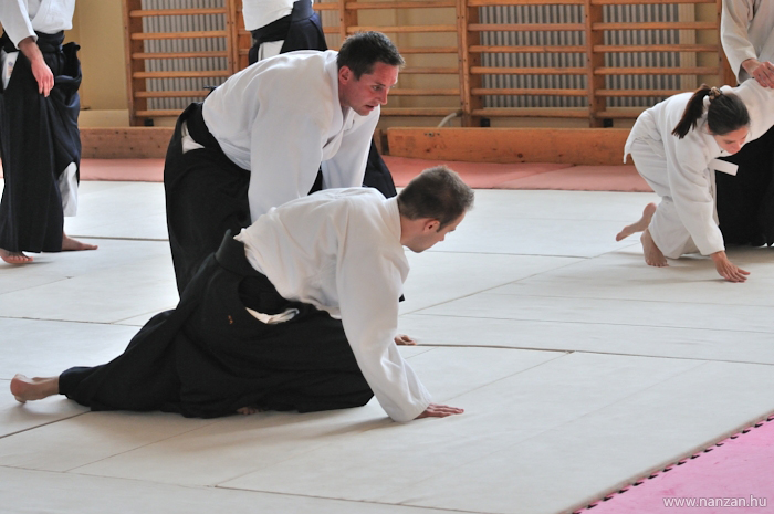 aikido Pcs Martin