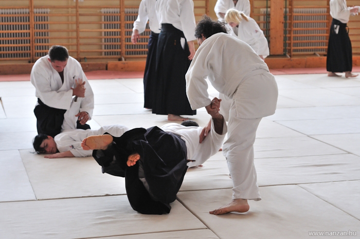 aikido Pcs Martin