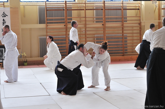 aikido Pcs Martin