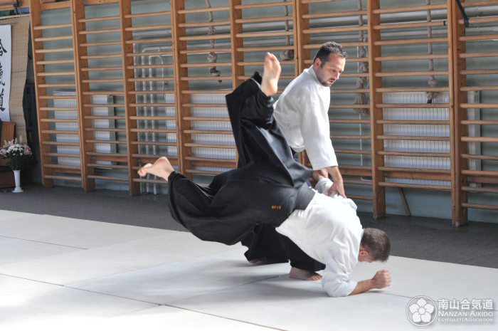 Aikido Pcs