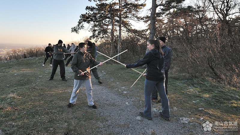 Aikido Pcs