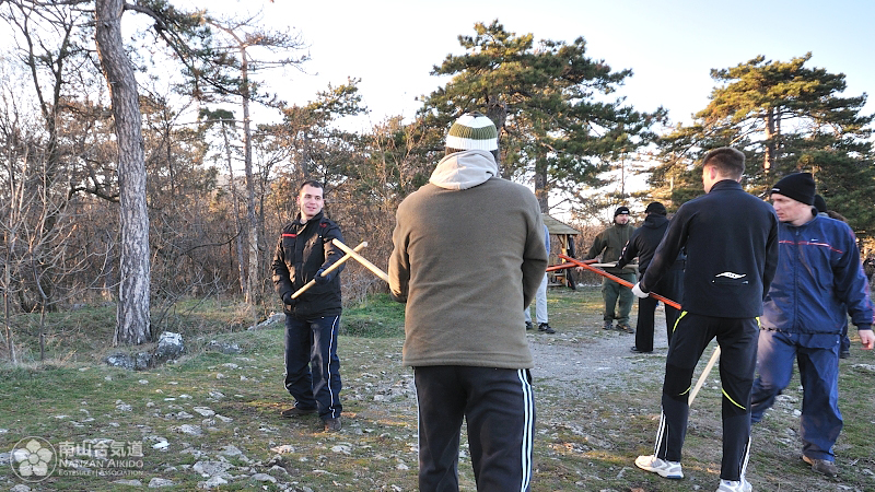 Aikido Pcs